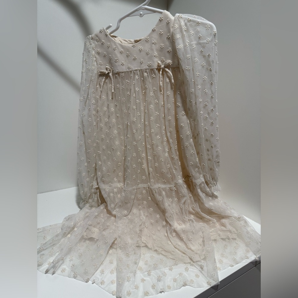 Zara EMBROIDERED TULLE DRESS